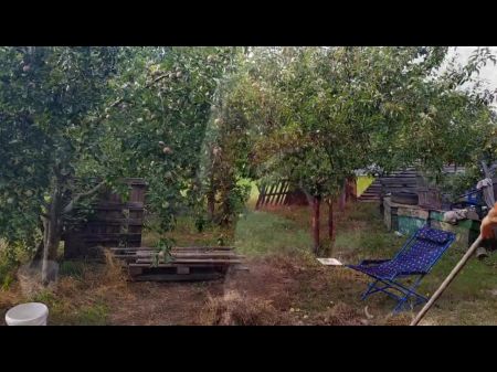 houses with housewife