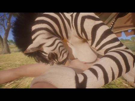 prity_zebra_sex